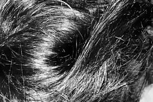 Shemale Noir Teases With Monster Cock