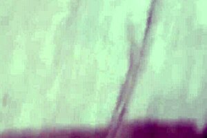 Vivi Guedez Secretly Films Anal Sex with Black Guy