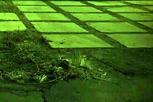 British rough anal and bdsm clinic unless youre from the sixties and think its weird.