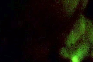 a gay guy endures a blowjob for nine minutes without cumming