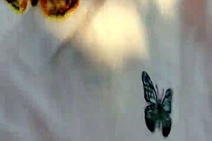 Stepsister Caught Spying, Allows Touching and Fucking in Part 1