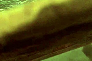 does your wife suck that big interracial cock?