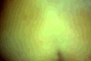 Gatinha Wants Internal Creampie.