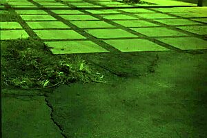 British rough anal and bdsm clinic unless youre from the sixties and think its weird.