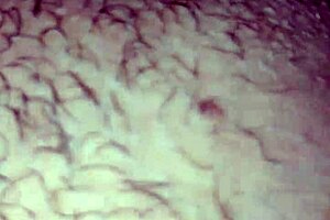 Corno Chupando Esposa Toda Assada Tinha Acabado De Chegar Da Casa Do Comedor Picudo 😏🍑