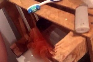 does your wife suck that big interracial cock?