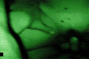 Deepthroat blowjob and handjob from Brunette MILF to her stepson