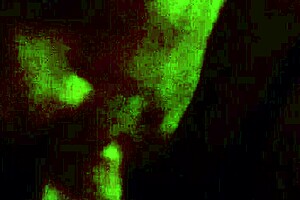 a gay guy endures a blowjob for nine minutes without cumming