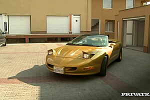 Roxy R Rough Riding Beauty