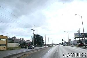 Explore Homosexual Sex Websites Online