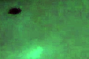 night time doll lovin big butt tan torso pt2