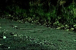 I had hot sex with a stranger right on the road