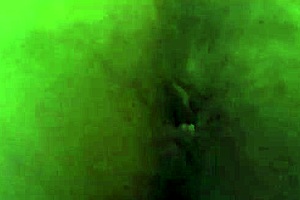 chubby fox gets fucked in the morning