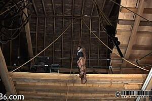 i love exploring sadomasochism with these enthusiastic amateurs in our sessions