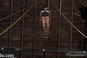 i love exploring sadomasochism with these enthusiastic amateurs in our sessions