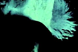 the wonderful world of vintage porn foursomes with hairy beavers and group sex