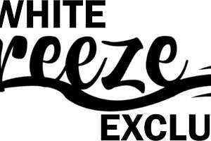 office babe handles hardcore tasks with brunette charm