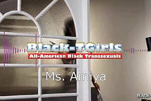 black tgirls ms amiyas here to please