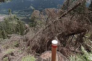 Wow, Bike And Sex With Liz And Ted!