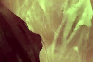 florecitamamitarica and stepson alex shower together in mother in law bonding moment