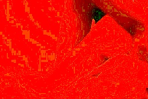 I fucked a big black cock, only silhouette