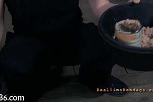 Four beauties trapped in tiny cage, what now?