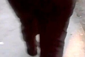 i groped that latina's ass and watched her get cum from behind