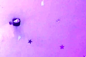 i couldn't hold back, fucked my girlfriend's ass while cuckold watched