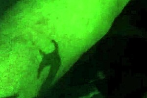 Brittney gets fucked hard by an amateur girl