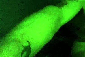 i'm fuckin brittney so hard, oh yeah