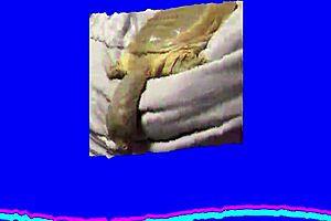 hey, is my mom really a succubus in this hentai review?