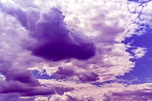 Perfect Beauty Sucks Cock in Rough Erotic Competition Game