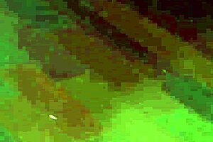 Filipino gay boys get fucked bareback by old black men in this porn movie