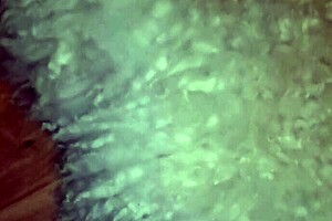 my stepdaddy gives me a hard session in the bedroom with intense actions