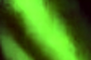 Bent over and moaning: Hot brunette in action