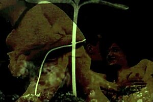 Vintage very old pornography featuring hairy british beaver