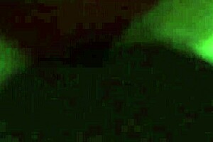 Fucking the prostitute from Toluca in detail