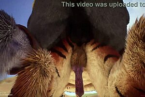 Wildlife gay furrys yiff hard in rough anal action