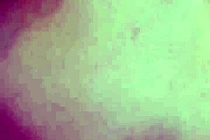 Watch me creampie my wife in doggystyle 😏