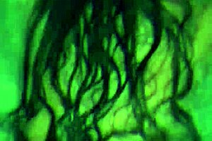 Mexican Wife Seeks Singles for Fun Activities