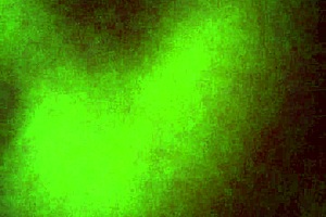 Mexican girl sucks cock and takes anal while bound.