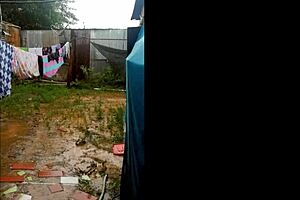 Ts Angelique's Sexy Short Clips Compilation