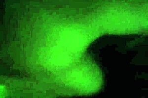 What happened in four after the club?