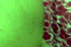 I with my delicious girlfriend Andrea licking balls and cumming in her mouth