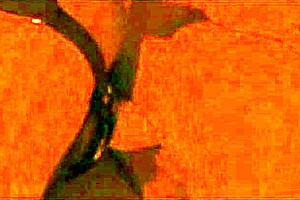 paranormal threesome pounds with anthony pierce charlie valentine maya woulfe