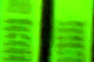 Couple Swap With Two Guys From Disco Sparks Wild Orgies After Pandemic. Full Version.