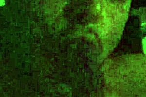 Franckydee shares a small taste before the lucky one gets taken in mouth