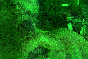 Franckydee shares a small taste before the lucky one gets taken in mouth