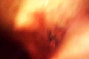 German BBW Couple Fucks Hard.