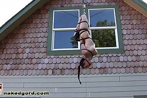 ballgagged slave dangling in bondage